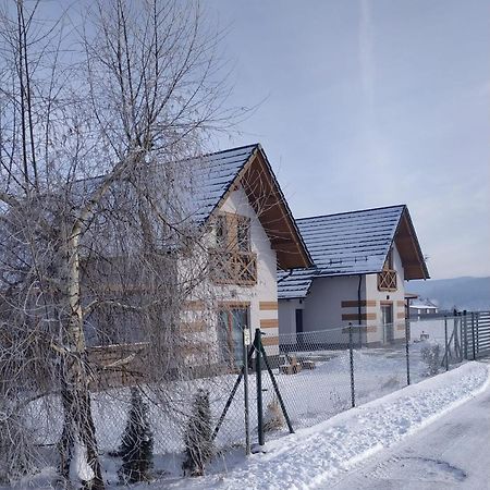 Dom W Gorach Villa Lomnica  Eksteriør billede